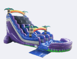 061af7b2 a704 42d3 bf32 5e464e9f891d 1747234456 20 Ft Dual Lane Purple Paradise